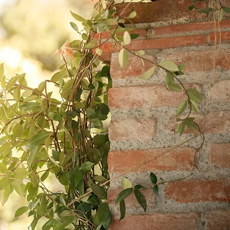 Il Mulino Di Nonna Sa - Prestige Private * Pietrasanta